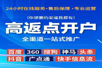 提升网站流量与转化率的关键——关键词竞价排名案例
